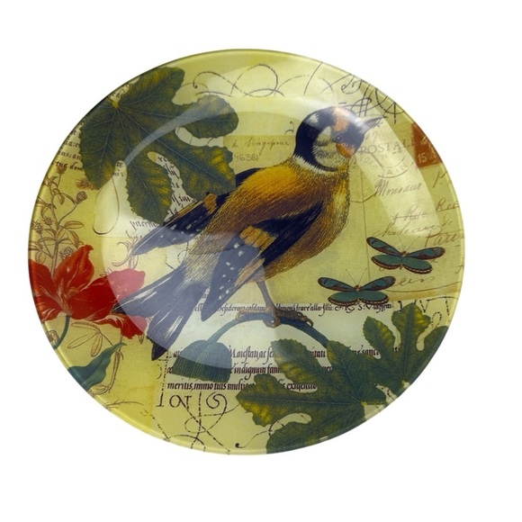 2 DECOUPAGE Dinner Plates RAZ 8.5” Autumn Birds Robin Finch? Yellow Decorative - Picture 5 of 8